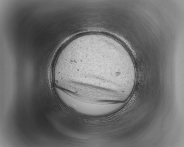 X0000102521271200809051435