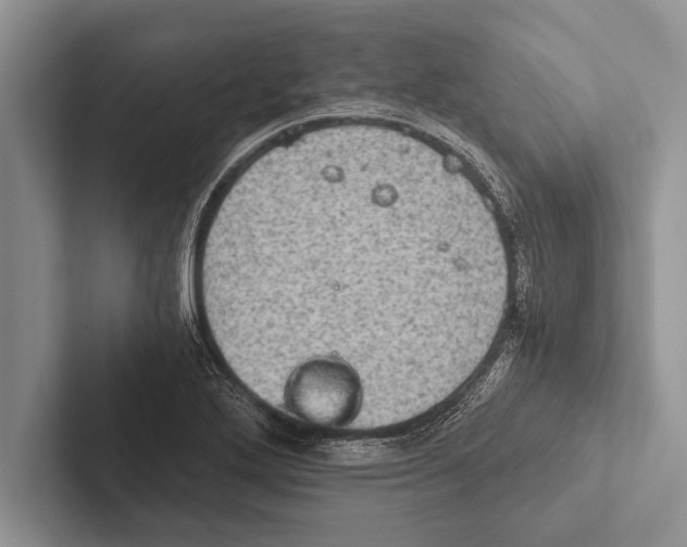 X0000102521272200809051435