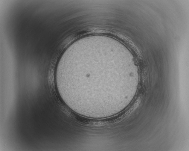 X0000102521273200809051435