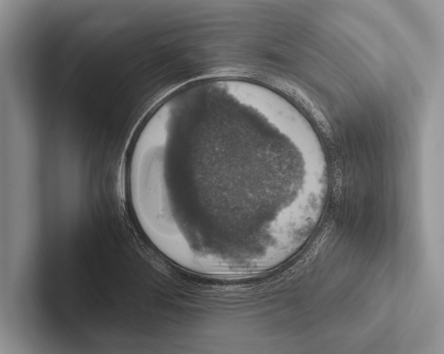 X0000102521276200809051435