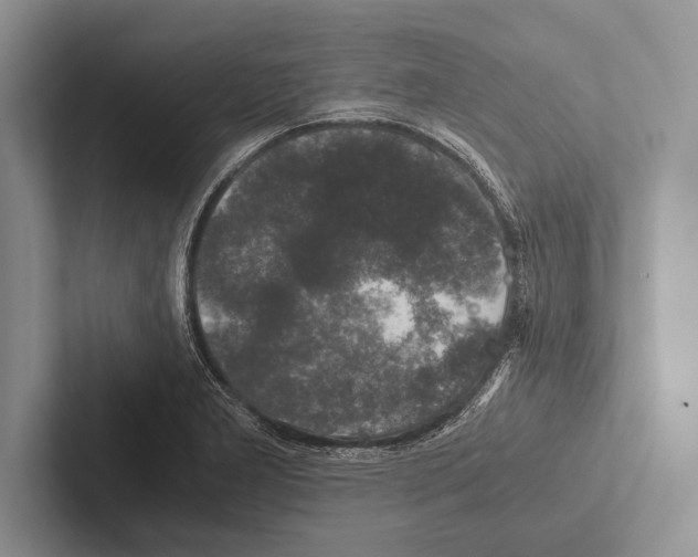 X0000102521277200809051435