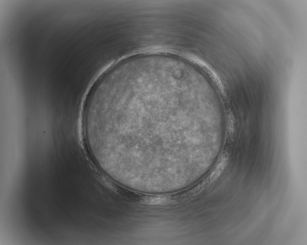 X0000102521278200809051435