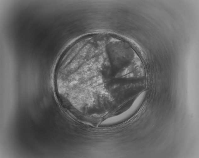 X0000102521279200809051435