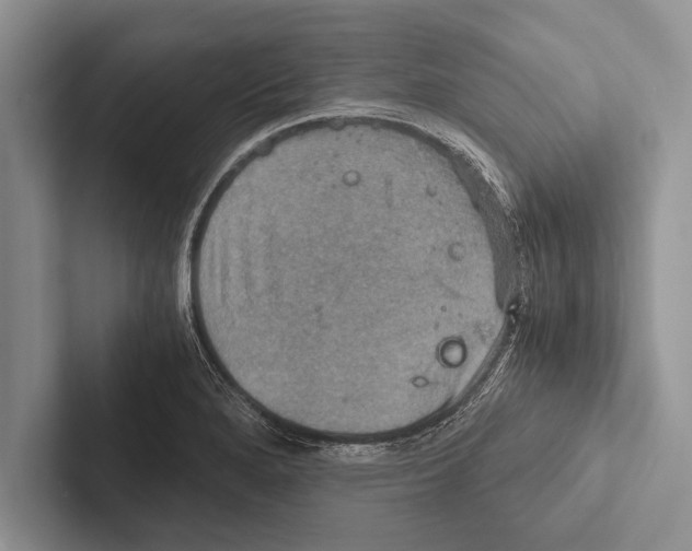 X0000102521280200809051435