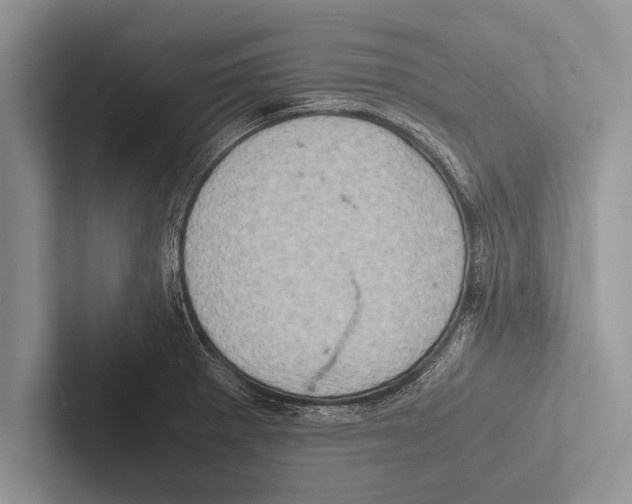 X0000102521281200809051435