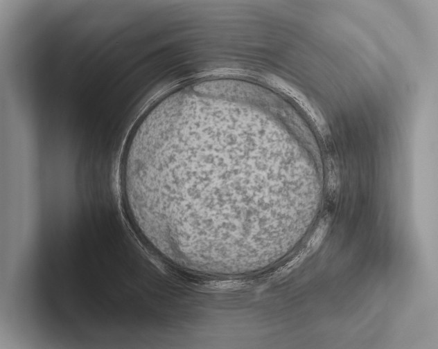 X0000102521282200809051435