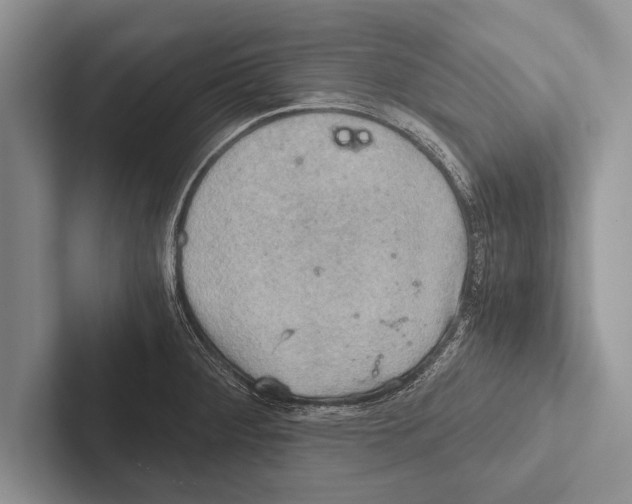 X0000102521284200809051435