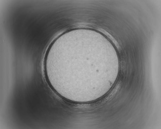 X0000102521285200809051435