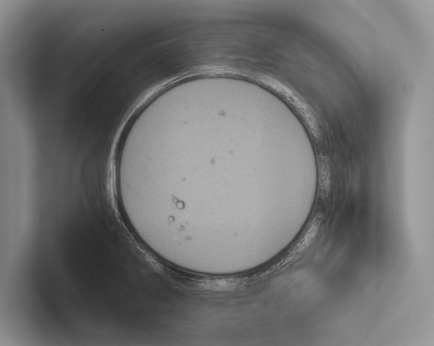 X0000102521286200809051435