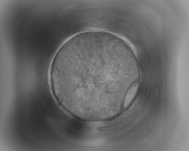 X0000102521287200809051435