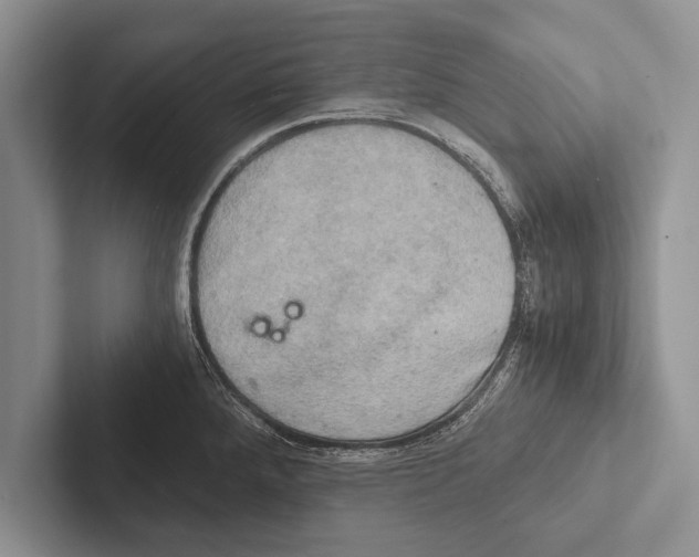 X0000102521288200809051435