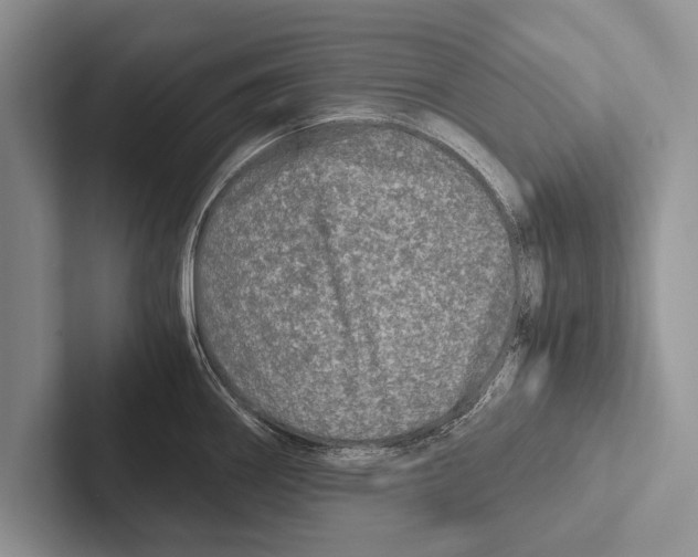 X0000102521290200809051435