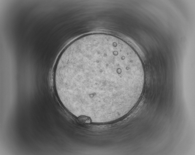 X0000102521292200809051435