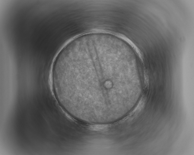 X0000102521294200809051435