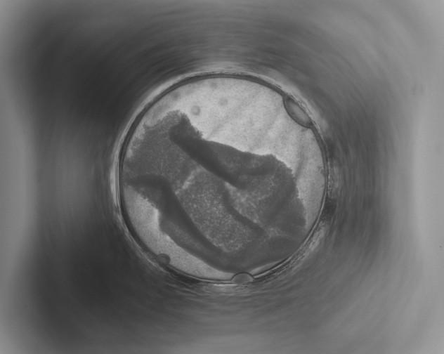 X0000102521295200809051435