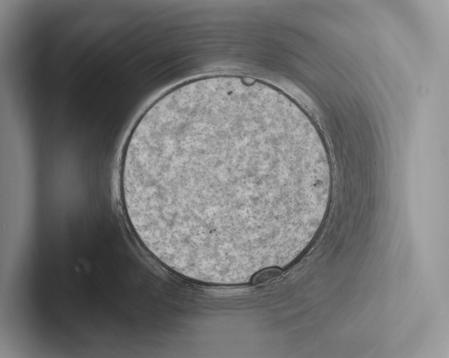 X0000102521296200809051435