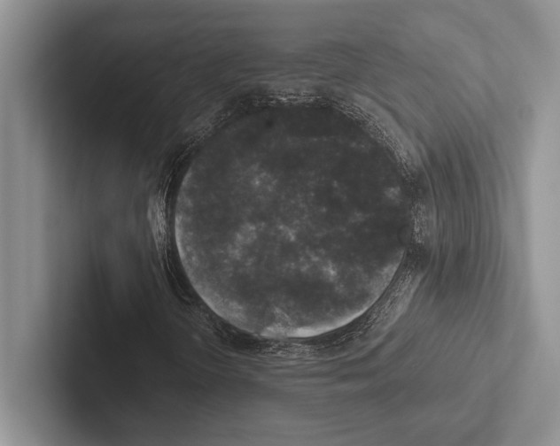 X0000102521298200809051434