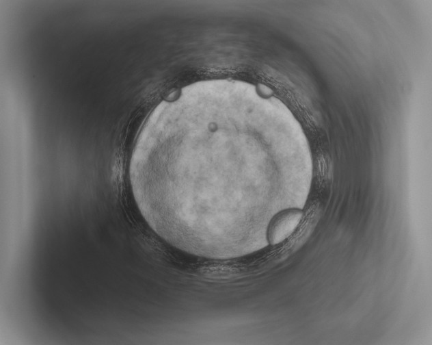 X0000102521300200809051434