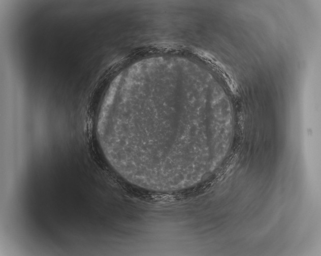 X0000102521302200809051435