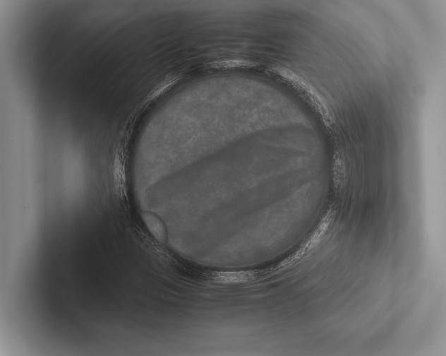 X0000102521305200809051435