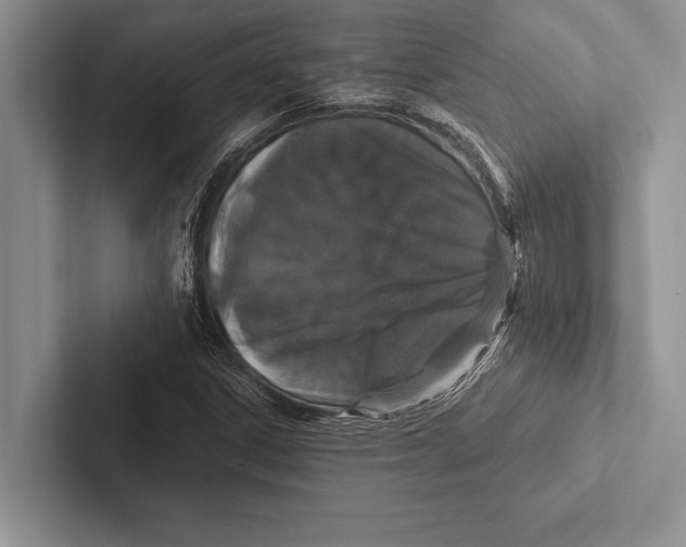 X0000102521306200809051435