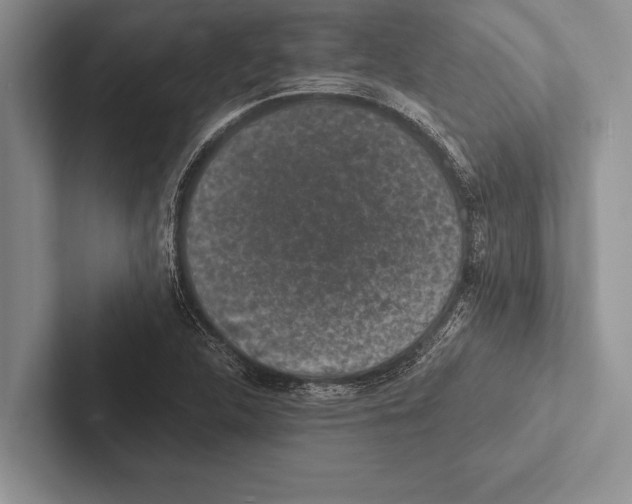 X0000102521312200809051435