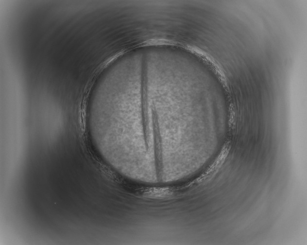 X0000102521313200809051435