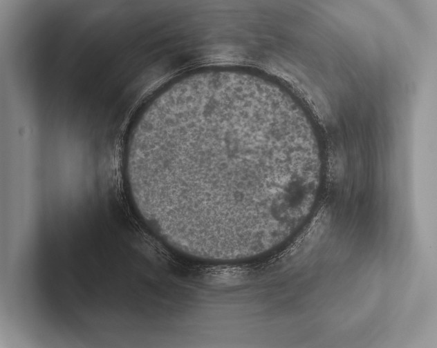 X0000102521314200809051435