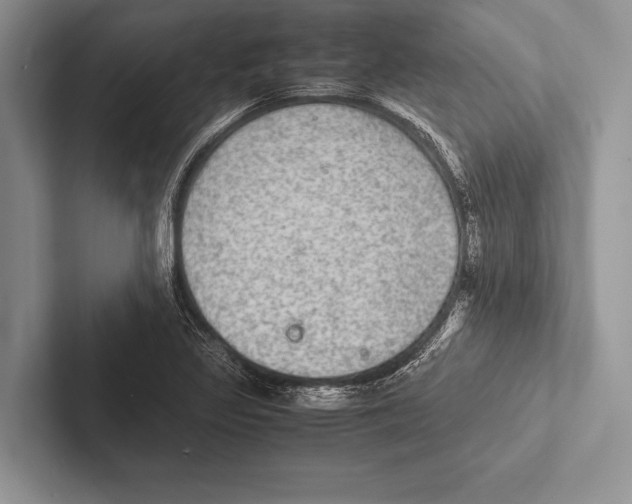 X0000102521317200809051435