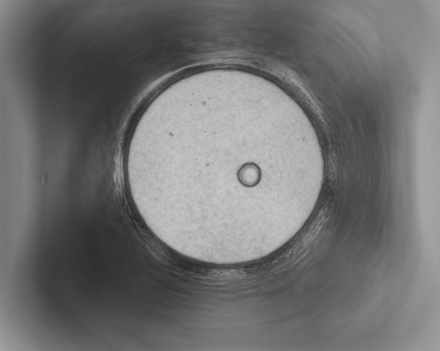 X0000102521320200809051435