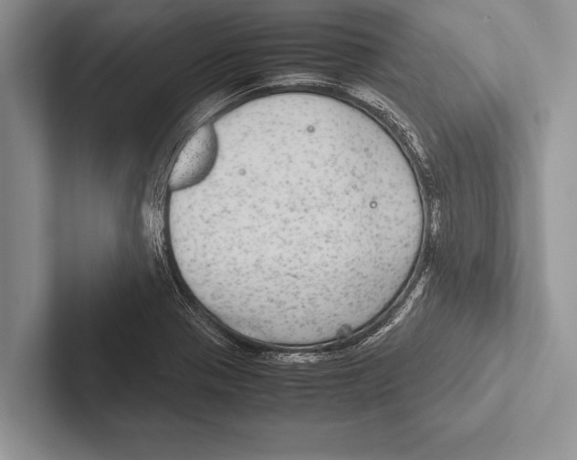 X0000102521321200809051435