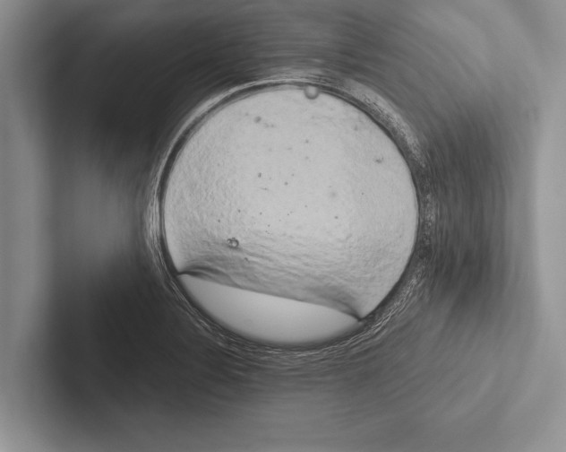 X0000102521324200809051435