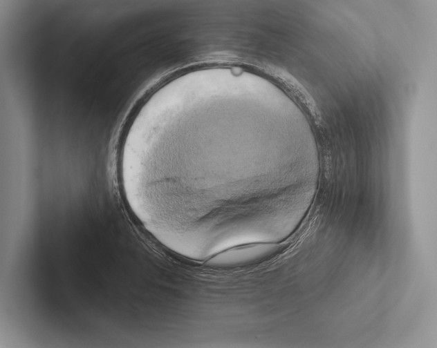 X0000102521326200809051435