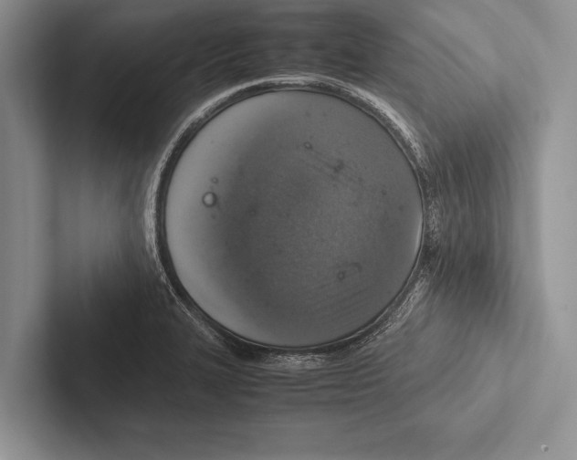 X0000102521327200809051435