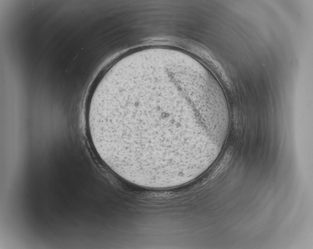 X0000102521328200809051435