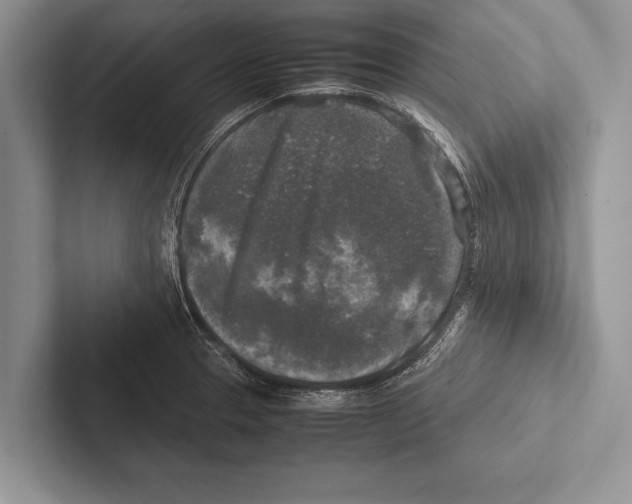 X0000102521329200809051435