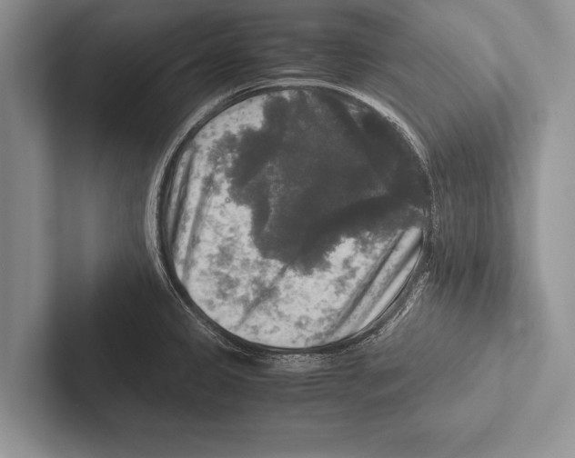 X0000102521333200809051435