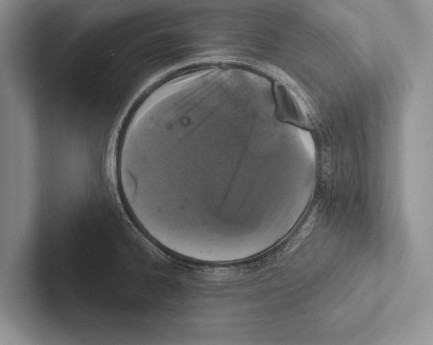 X0000102521334200809051435