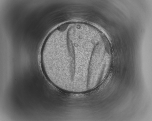 X0000102521335200809051435