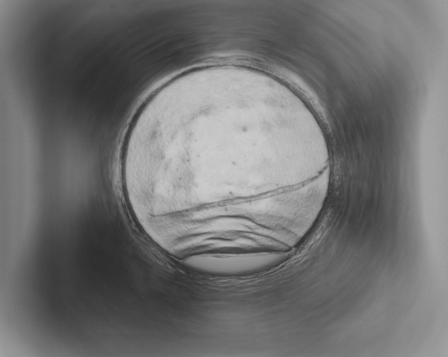 X0000102521336200809051435