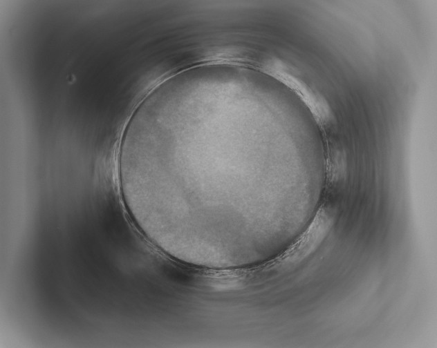 X0000102521338200809051435