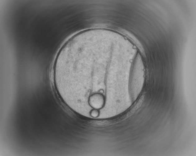 X0000102521340200809051435