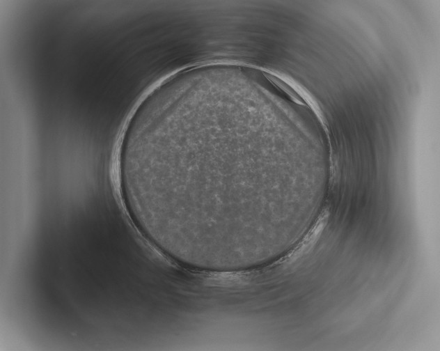 X0000102521341200809051435