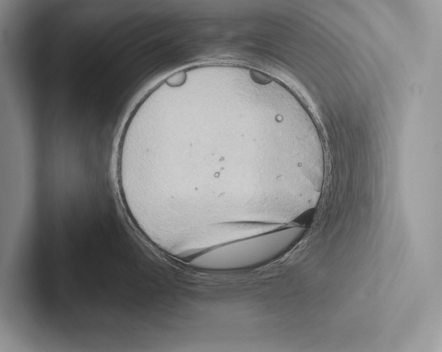 X0000102521344200809051435