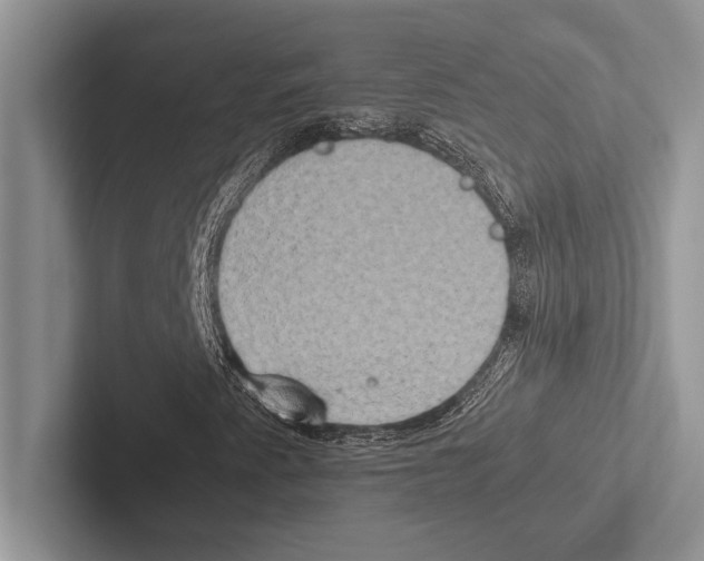 X0000102521345200809051434