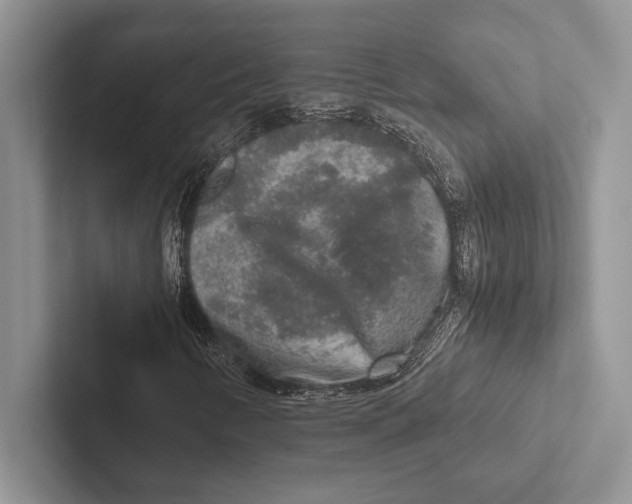 X0000102521346200809051434