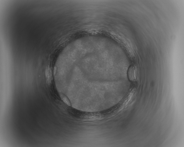 X0000102521347200809051434