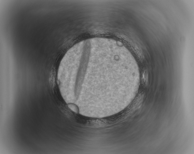 X0000102521348200809051434