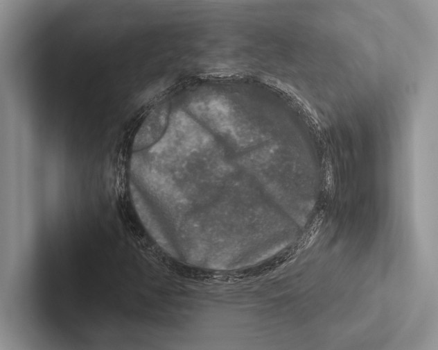 X0000102521350200809051434