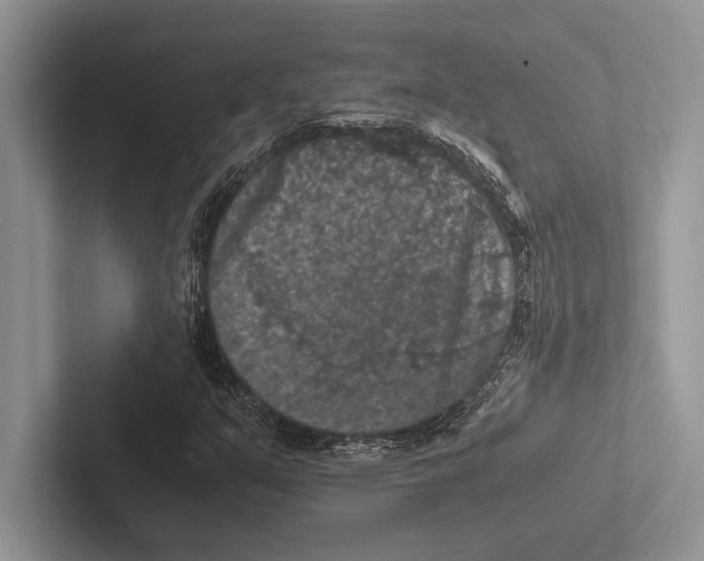 X0000102521351200809051434